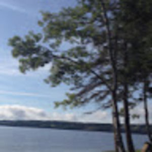 Meet your Posher, Balia